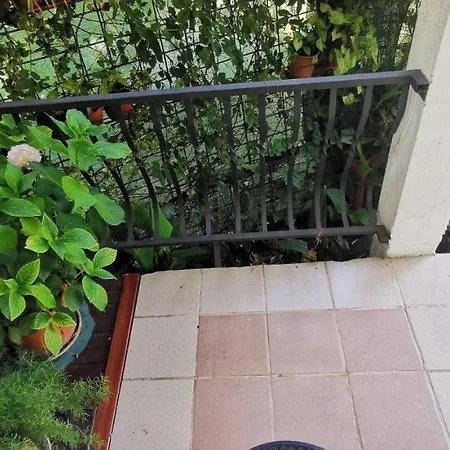 Quiet Center Misur *