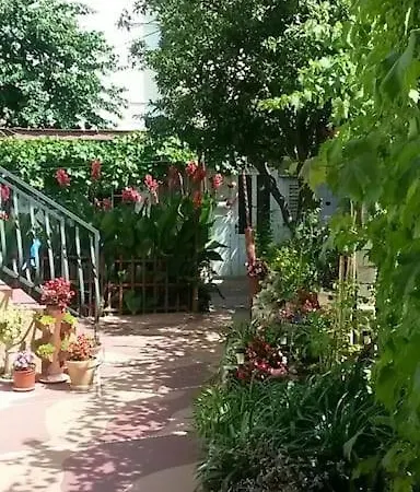 Quiet Center Misur Ragusa